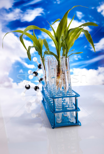 Biotechnológia vegyi laboratórium üvegáru bio organikus Stock fotó © JanPietruszka