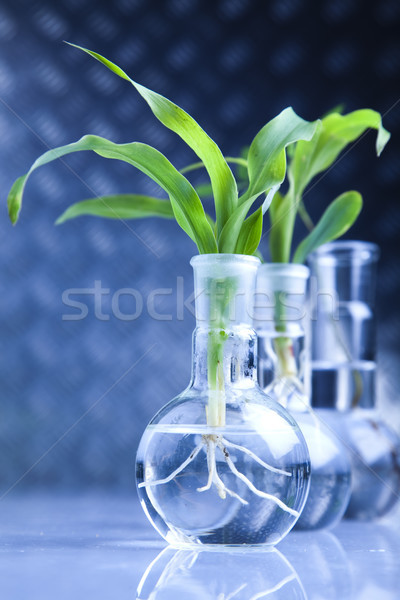 химического лаборатория изделия из стекла bio органический современных Сток-фото © JanPietruszka