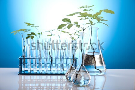 Floral science in  laboratory  Stock photo © JanPietruszka