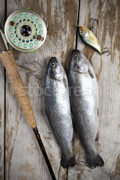 Stock foto: Fischerei · natürlichen · Essen · Natur · Fluss · fliegen