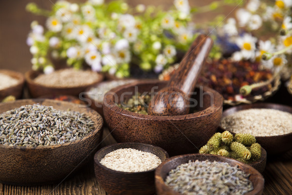 Foto stock: Mesa · de · madera · hierbas · naturaleza · belleza