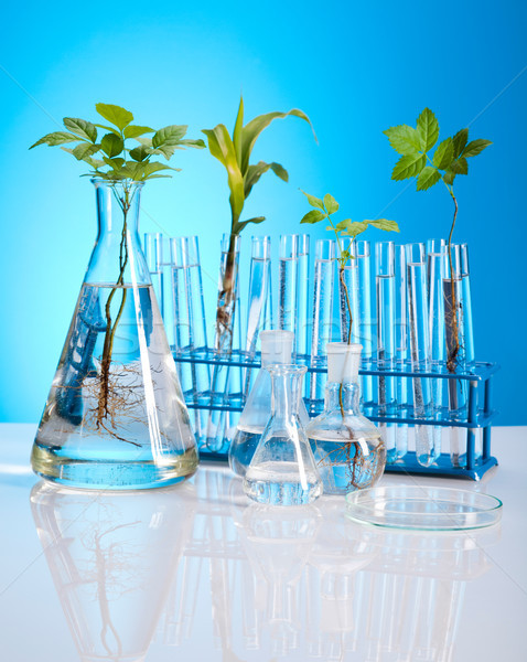 Foto stock: Química · plantas · laboratorio · experimental · médicos