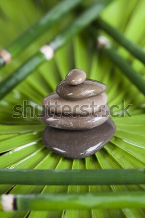 Stenen bamboe zen magisch atmosfeer groep Stockfoto © JanPietruszka