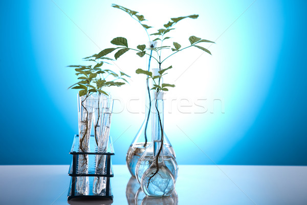 Plants and laboratory  Stock photo © JanPietruszka