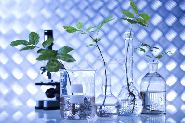 Foto stock: Química · equipamento · plantas · laboratório · experimental · médico