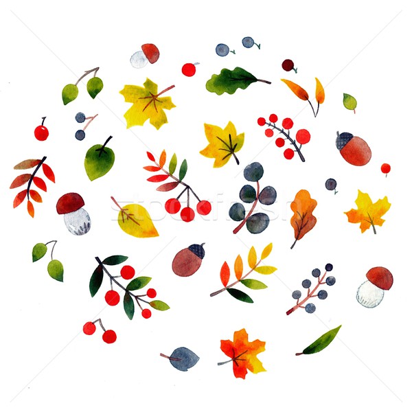 秋 水彩画 実例 要素 白 自然 ストックフォト © jara3000