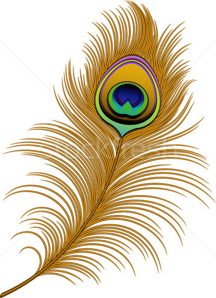 Paon plumes blanche eps 10 design [[stock_photo]] © jara3000