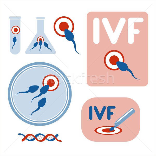 In vitro fertilisation. Collection of vector images.  Stock photo © jara3000