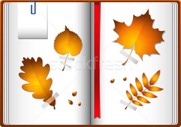 Autumn leaves in a notebook Stock photo © jara3000