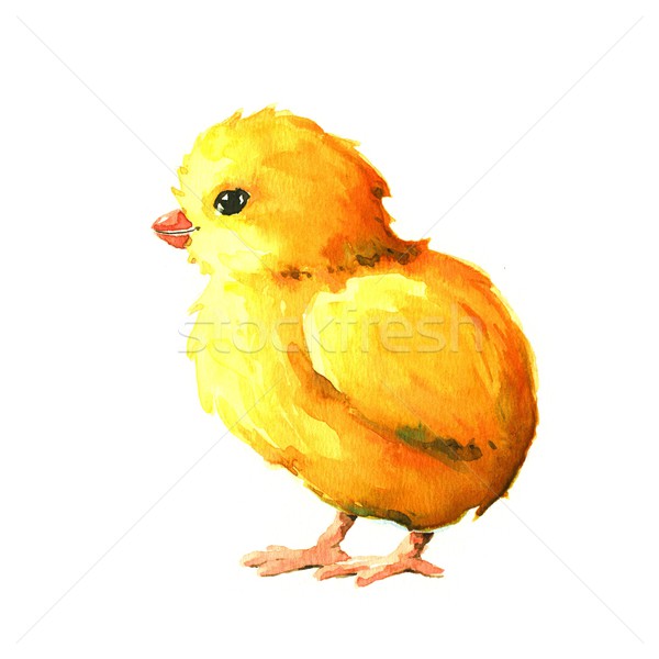 Chick. Watercolor illustration Stock photo © jara3000