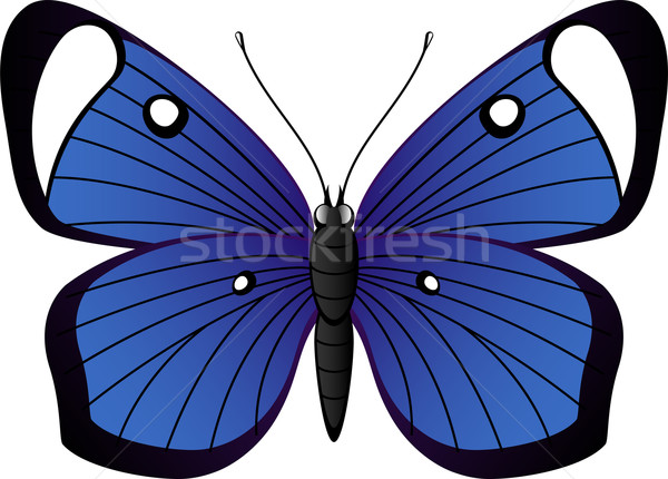 Beautiful tropical butterfly Stock photo © jara3000