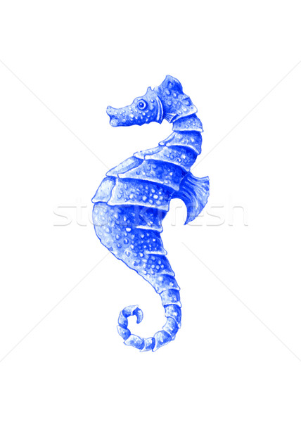 Seahorse Stock photo © jara3000