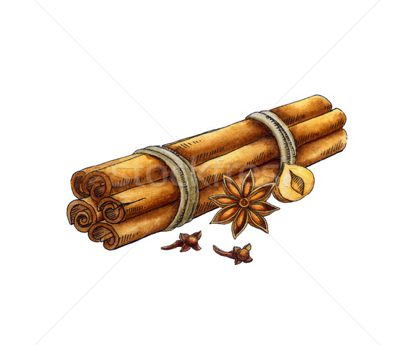 Stock photo: Spices: cinnamon, anise, cloves. Watercolor illustration