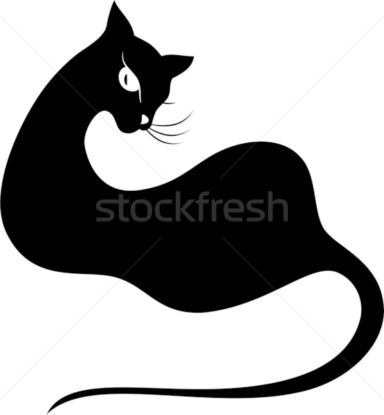 Foto stock: Gato · preto · silhueta · branco · eps · 10 · gato