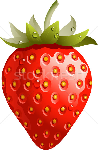 Erdbeere voll rot isoliert weiß eps Stock foto © jara3000