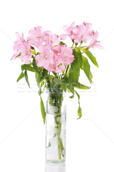 ストックフォト: 花瓶 · ピンク · ユリ · 孤立した · 白
