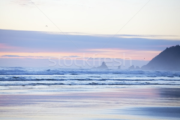 Kolorowy pastel niebo armata plaży Oregon Zdjęcia stock © jarenwicklund