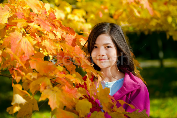 Little biracial asian girl standing amongst bright autumn leaves Stock photo © jarenwicklund