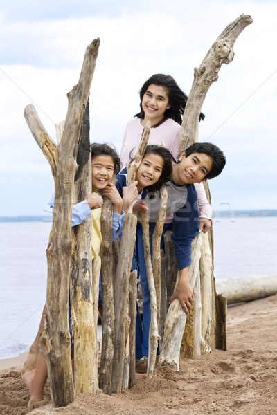 Four siblings by the lakeshore in summer, Stock photo © jarenwicklund