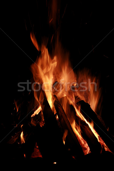 Large blazing campfire Stock photo © jarenwicklund