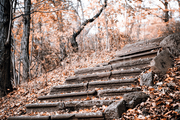 Old Stone Stairway in the Fall Stock photo © jarin13