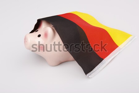 pig money box and Germany flag Stock photo © jarin13