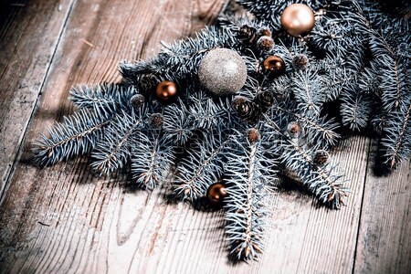 Noël décoration vert branche arbre [[stock_photo]] © jarin13