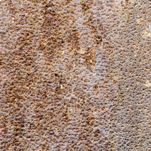 texture of rusty iron or steel Stock photo © jarin13