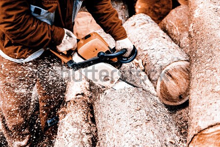 Man sawing a log in his back yard Stock photo © jarin13