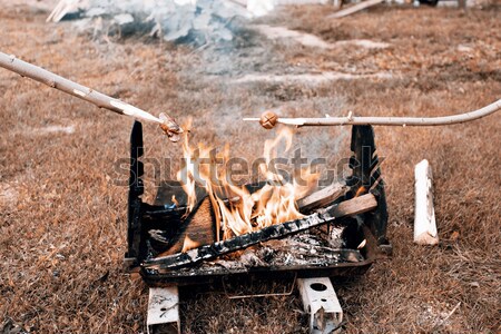 sausage on fire Stock photo © jarin13
