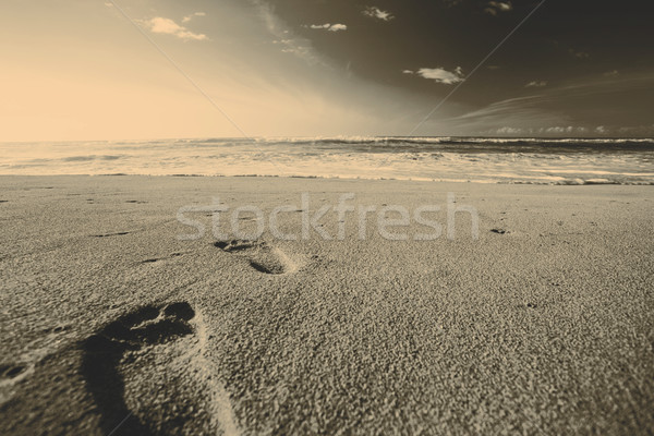 Piękna plaży słoneczny Hawaii wody słońce Zdjęcia stock © jarin13