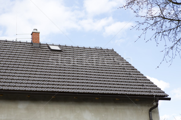 brown roof with chimney and Lightning conductor Stock photo © jarin13