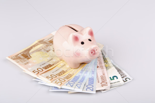 pig bank on euro banknotes Stock photo © jarin13