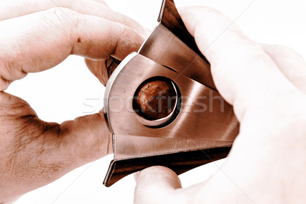 Cigar and cutter on a white background Stock photo © jarin13