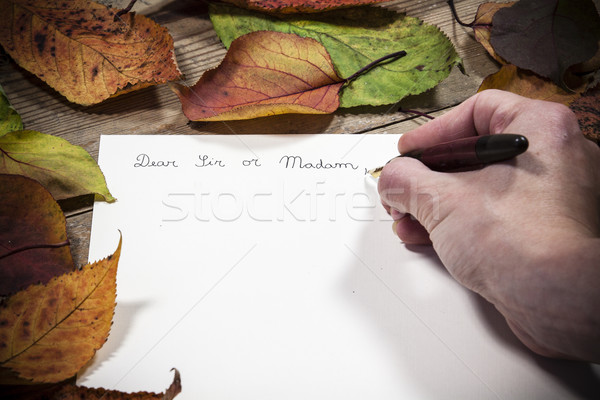 Old fashioned letter Stock photo © jarin13