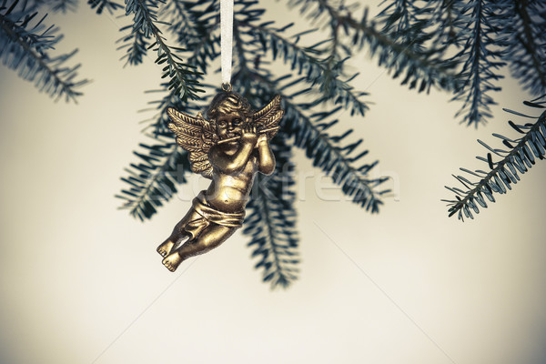 Natal decoração dourado anjo verde ramo Foto stock © jarin13