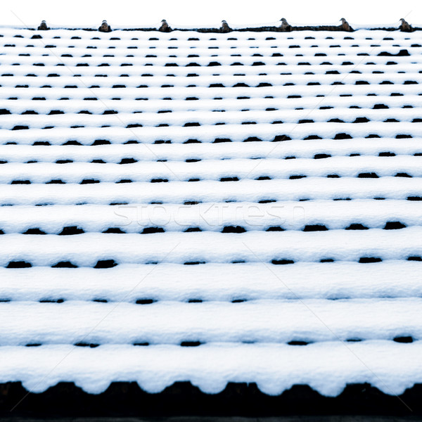 Stock photo: snow on roof tiles