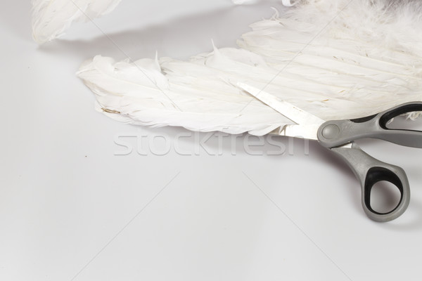 Scissors cutting angel's wing Stock photo © jarin13