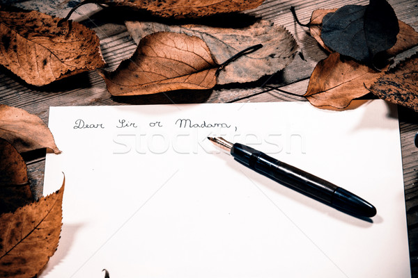 Old fashioned letter Stock photo © jarin13