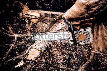 Man sawing a log in his back yard Stock photo © jarin13