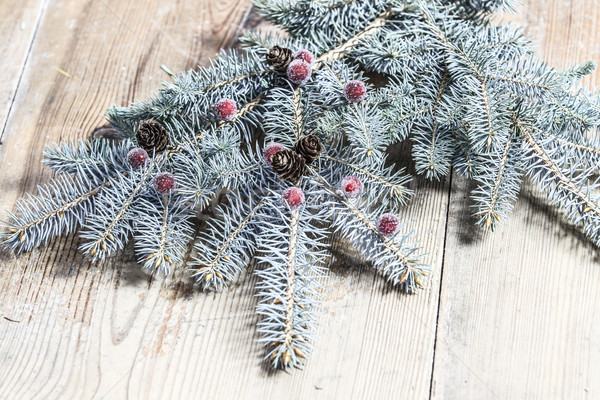 Foto stock: Natal · decoração · verde · ramo · árvore
