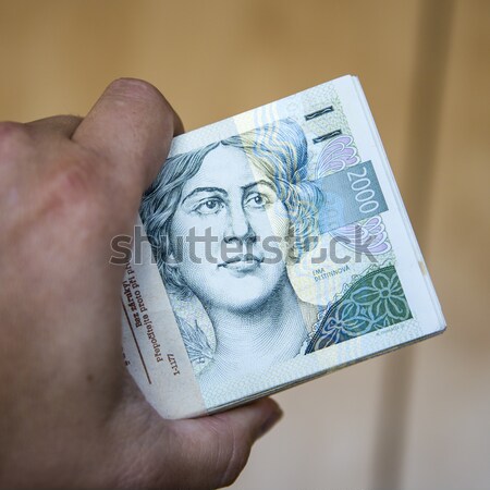 pack of money - big pile of banknotes in hand Stock photo © jarin13