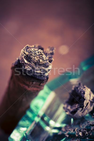 昂貴 雪茄 手 葉 吸煙 商業照片 © jarin13