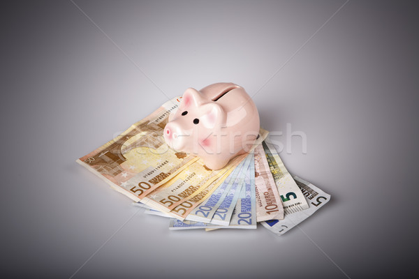 pig bank on euro banknotes Stock photo © jarin13
