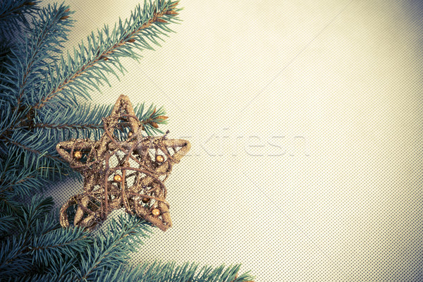 Karácsony dekoráció ág csillag fa természet Stock fotó © jarin13