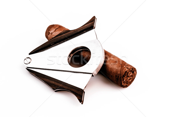 сигару белый дорогой лист здоровья дым Сток-фото © jarin13