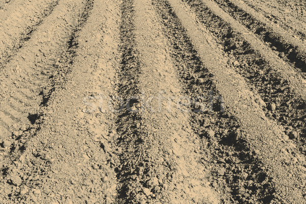 The plowed field prepared for crops Stock photo © jarin13