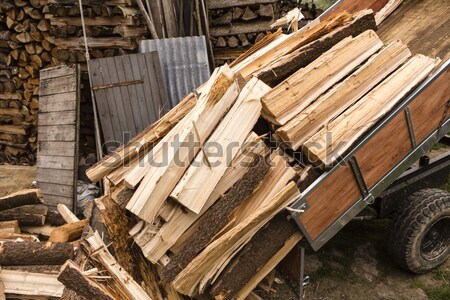 logging tractor Stock photo © jarin13