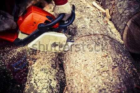 Man sawing a log in his back yard Stock photo © jarin13