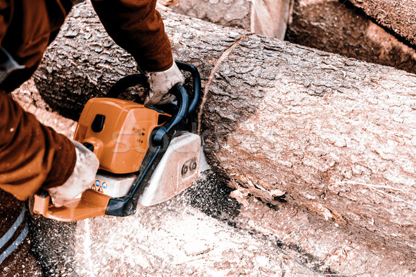 Man sawing a log in his back yard Stock photo © jarin13